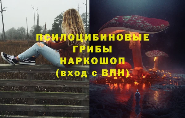 2c-b Медвежьегорск
