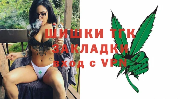 гидра Михайловск