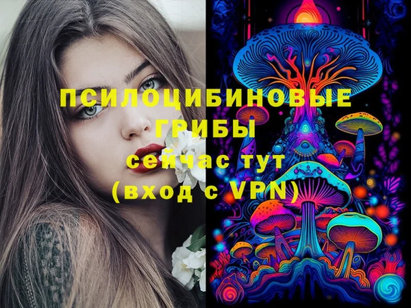 2c-b Медвежьегорск